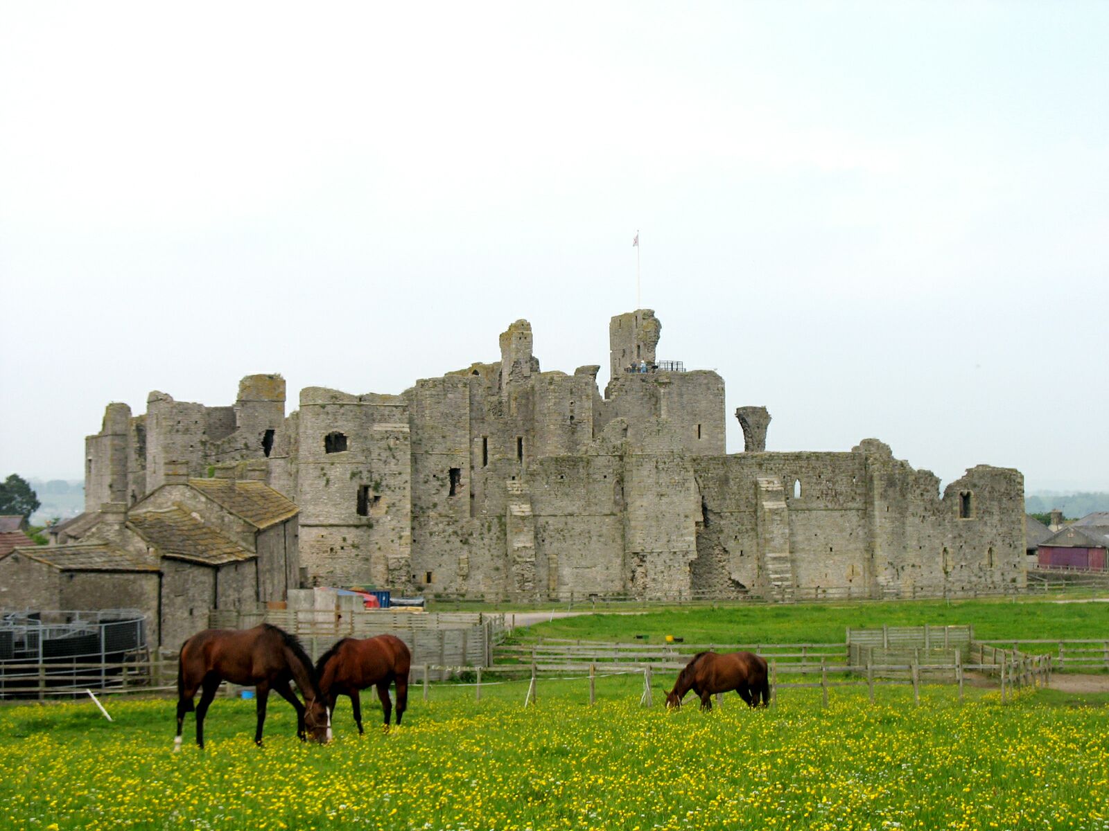 Veduta delle rovine del Castello di Middleham nello Yorkshire, tra le colline inglesi