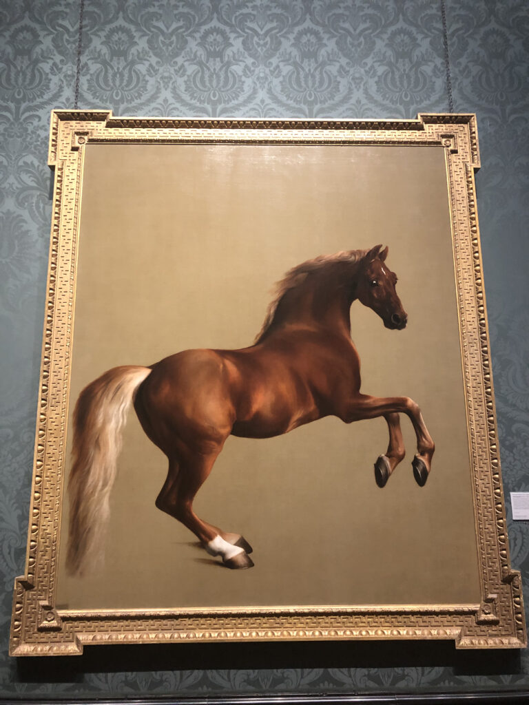 Cosa vedere alla National Gallery di Londra: George Stubbs, Whistlejacket, 1762, National Gallery Londra